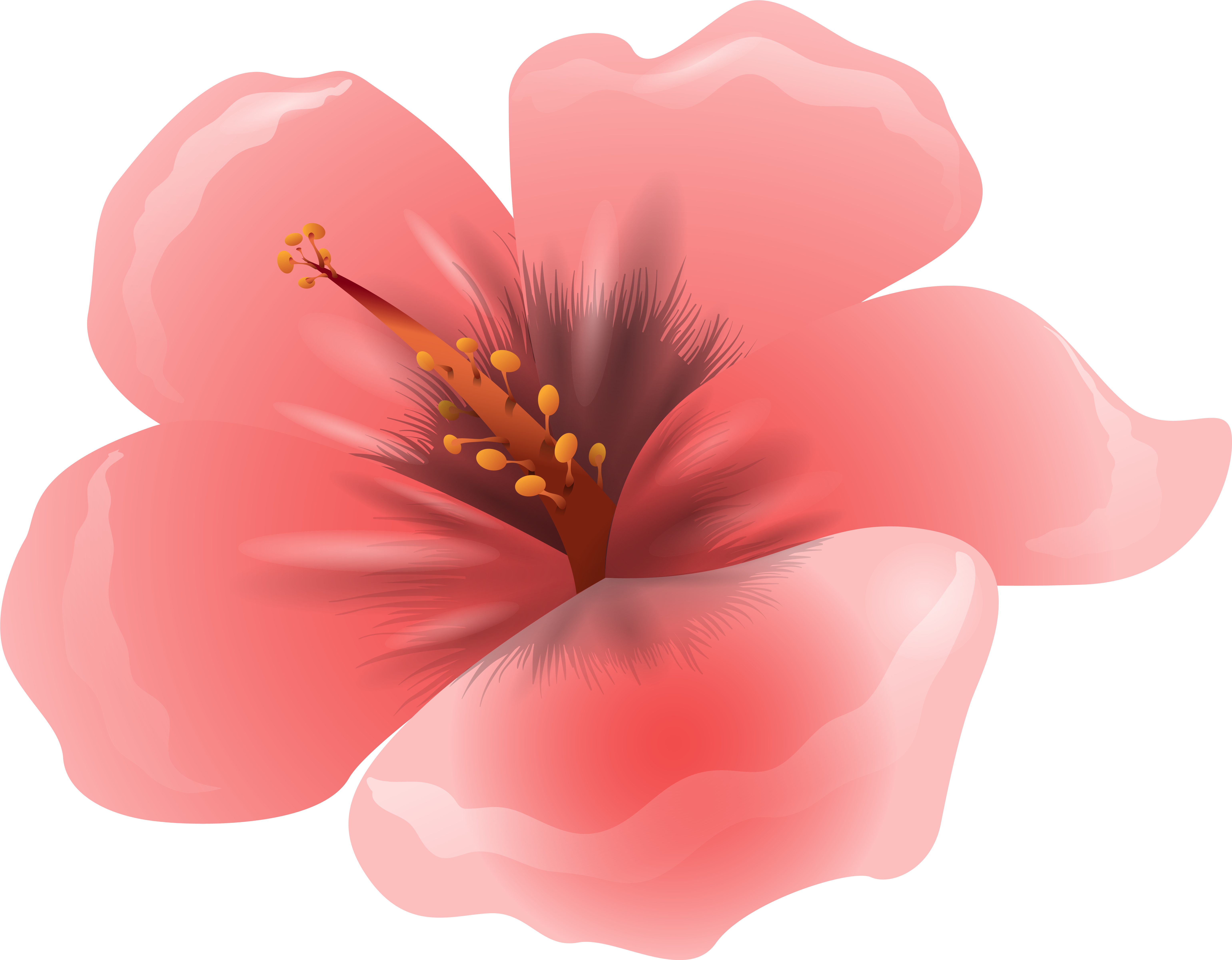 Large Pink Flower Clipart Png Image - Pink Flower Clipart Png (6258x4877)