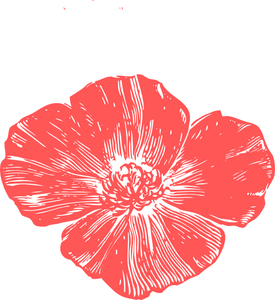 Poppy Flower Cliparts - Clip Art (546x596)