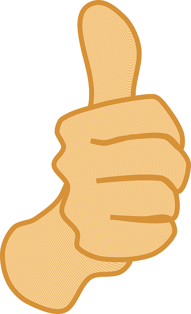Sign, Black, Icon, Two, Symbol, Hand, Drawing, People - Thumbs Up Png (390x640)