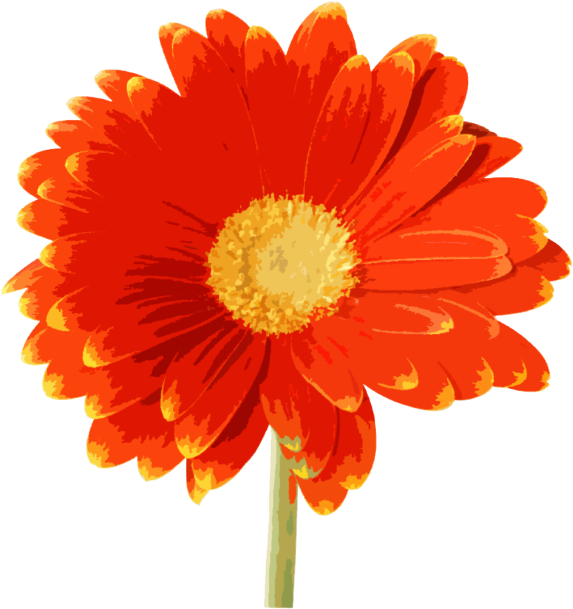 530 X 534 - Thinking Of You Flower (893x900)