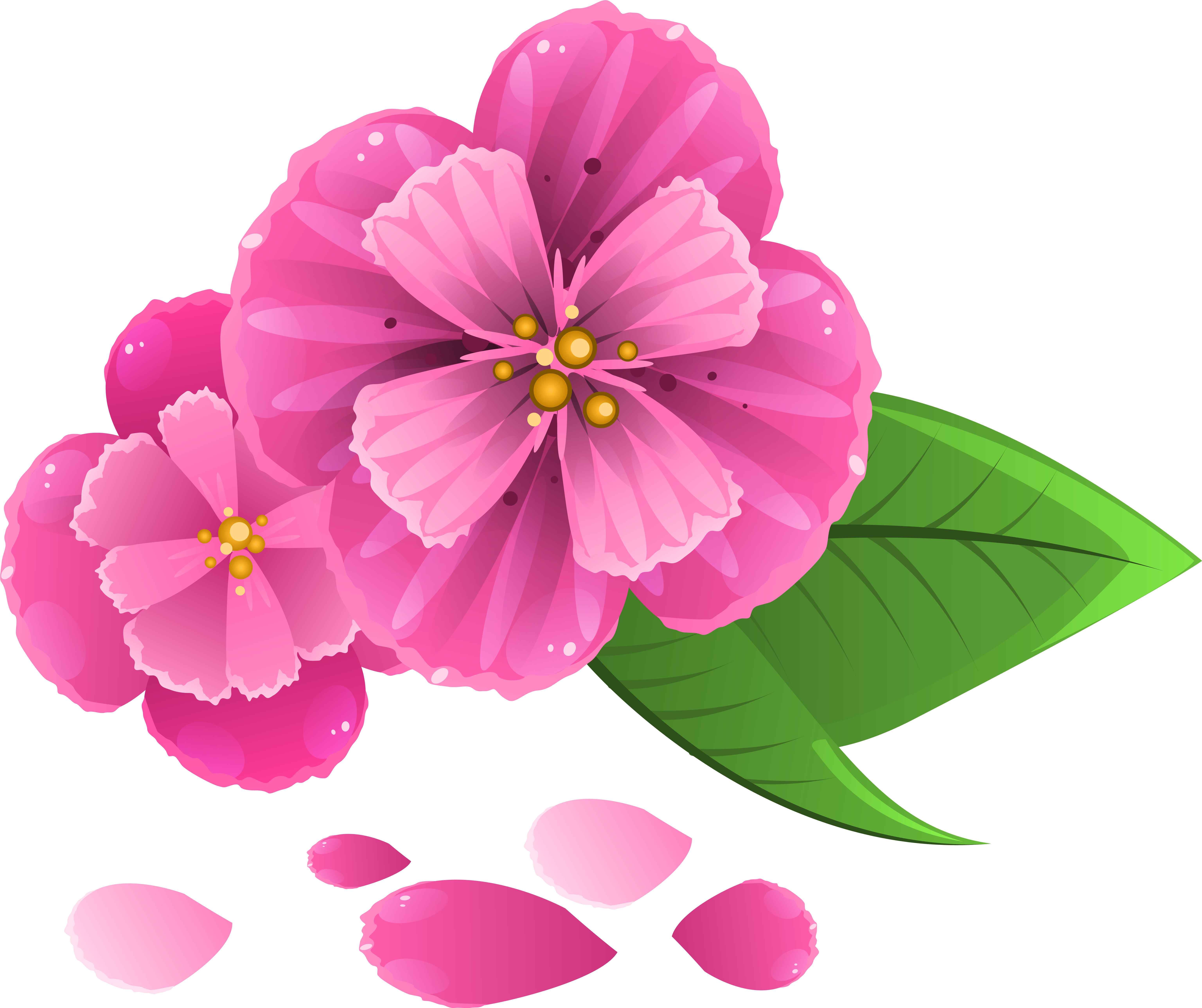 Pink Flower With Petals Png Clipart Image - Pink Flower Png (6287x5273)