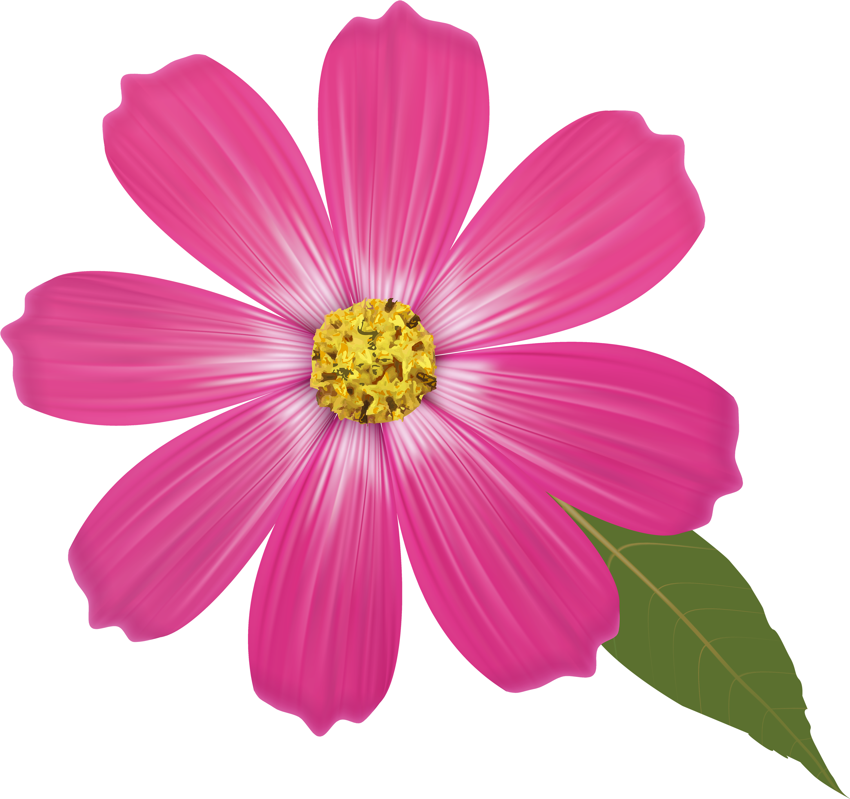 Pink Flower Png Clipart - Flower Png Clipart (3000x2878)