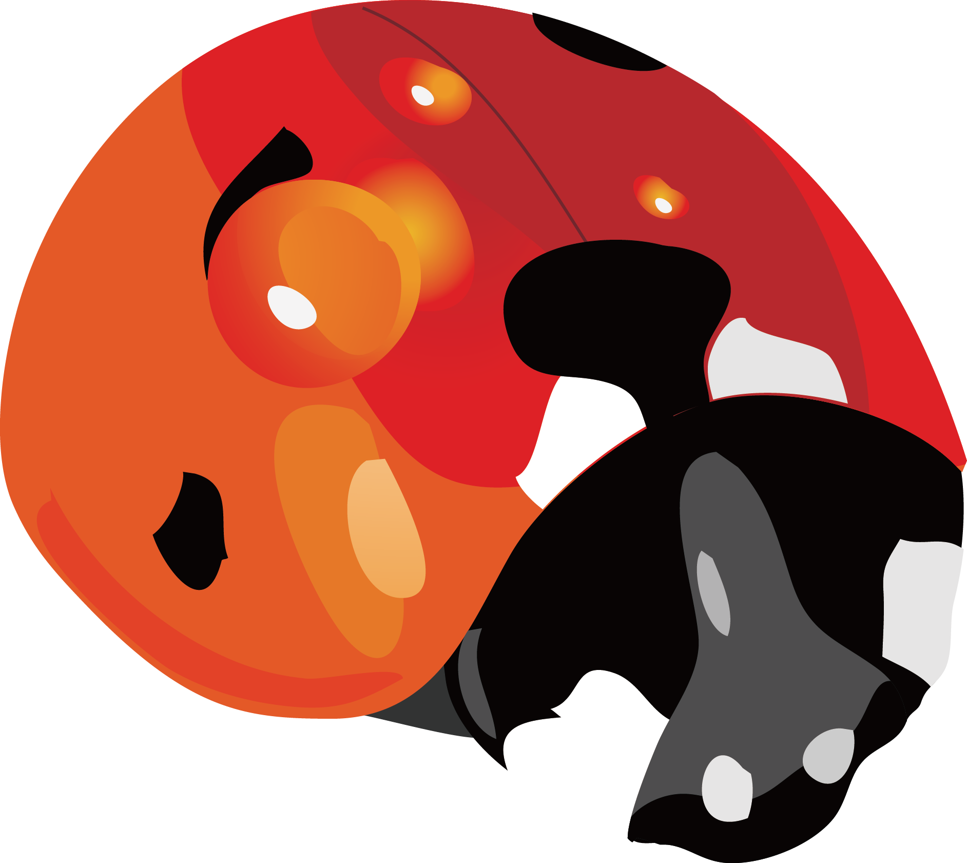 Ladybug Vector 1884*1681 Transprent Png Free Download - Ladybug Vector 1884*1681 Transprent Png Free Download (1884x1681)