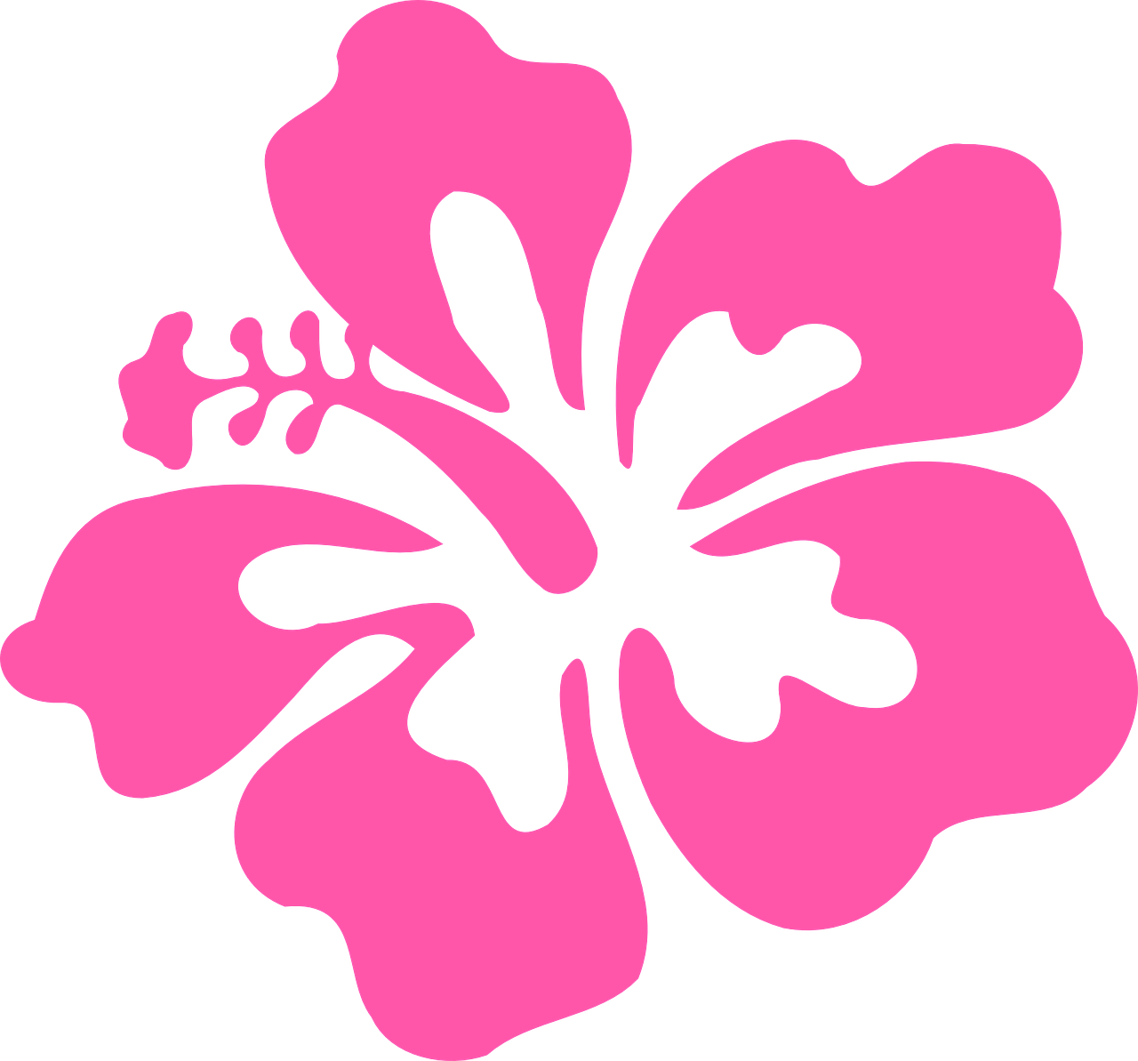 Hibiscus Pink Tropical Flower Png Image - Hibiscus Png (1280x1193)