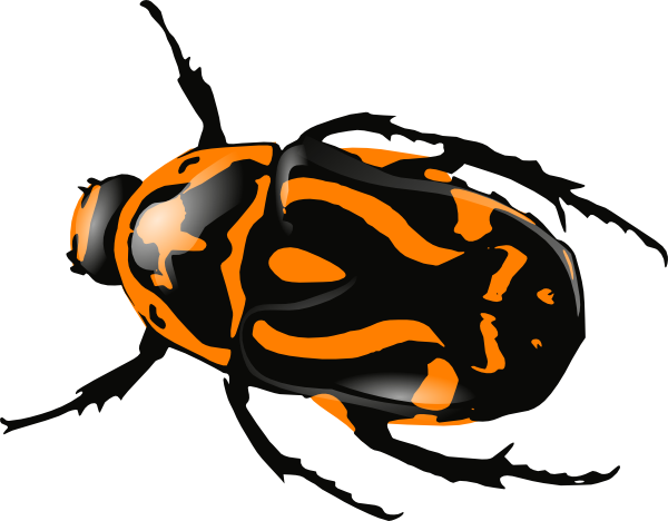 Orange Clipart Bug - Black And Red Beetle (600x468)