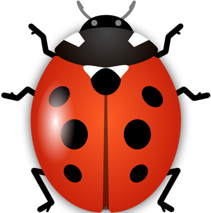 Hello And Welcome To Ladybirds Garden Services - Ladybird Insect (415x432)
