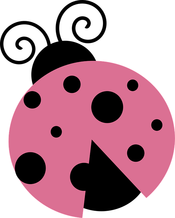 Ladybug Clipart Gambar - Ladybug Pink (579x720)