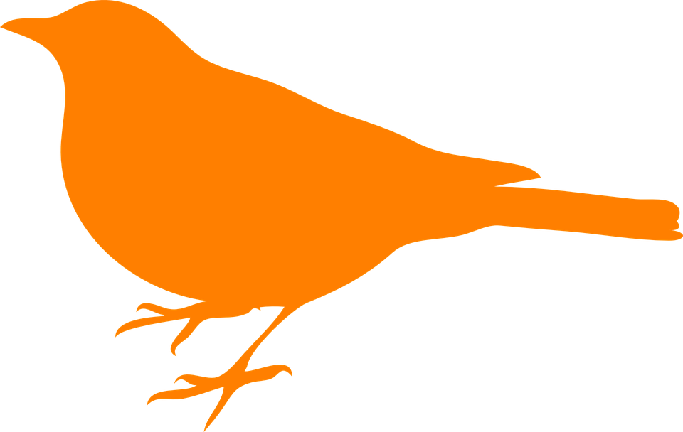 Blackbird Clipart Bird Silhouette - Bird Silhouette Clip Art (960x608)