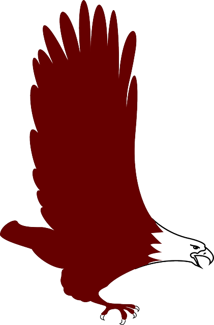 Bird, Flying, Wings, Feathers, Soaring, Fly - Eagle Icon Soaring Png (842x1280)