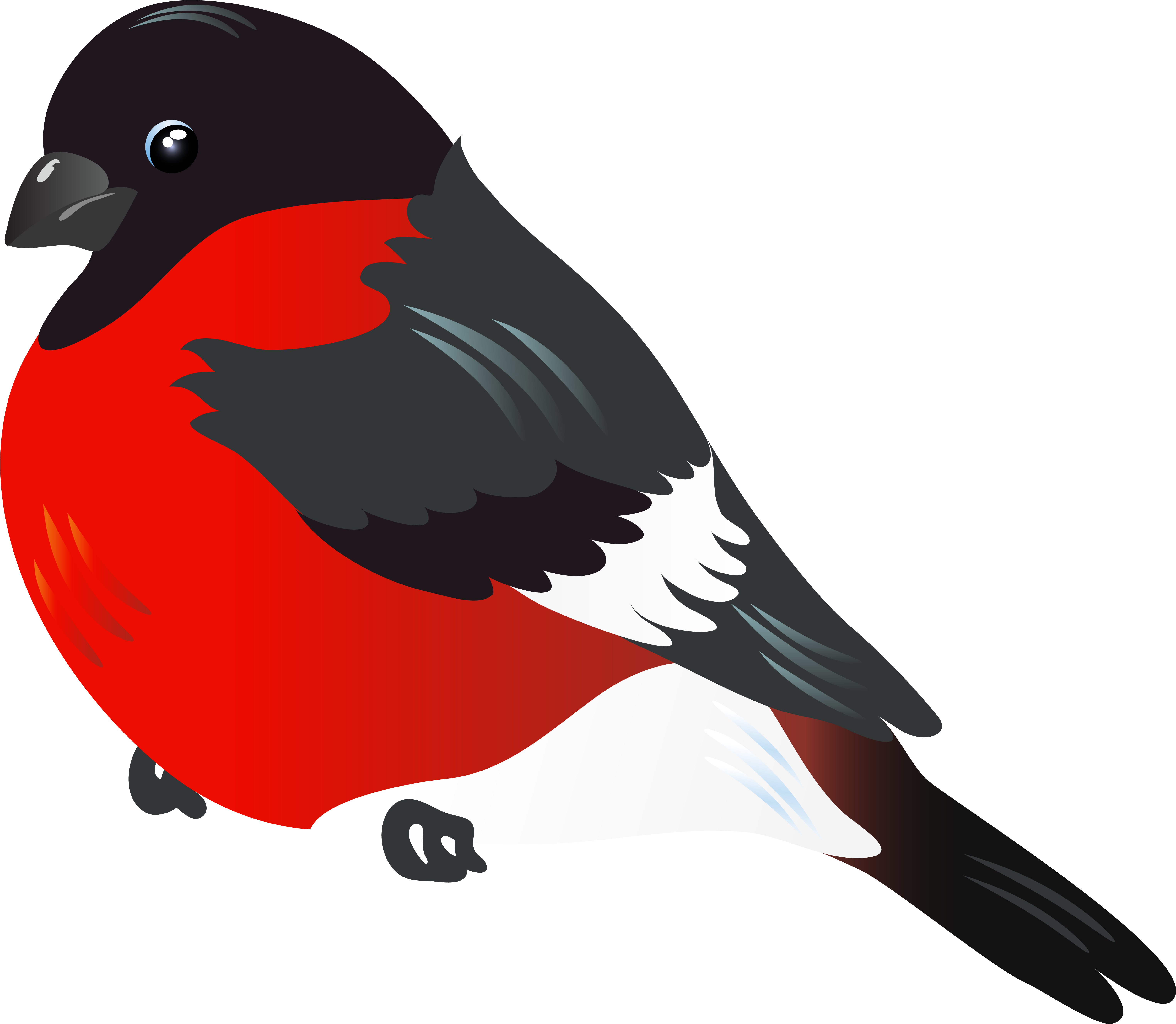 Red Bird Png Clipart Image - Red Bird Clipart (6229x5427)
