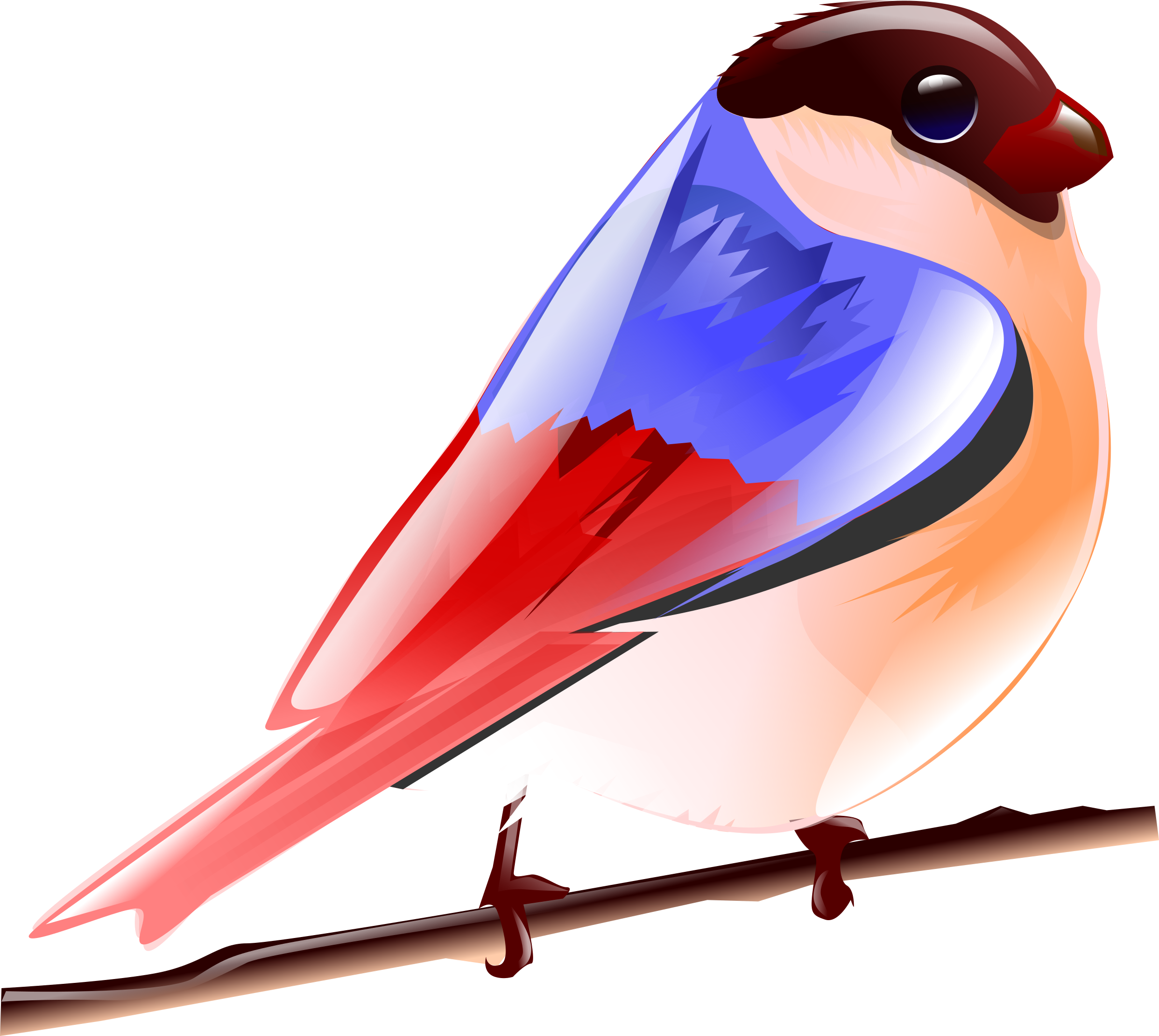 Bird Clipart Colorful Bird - Colorful Birds Clipart (2400x2146)
