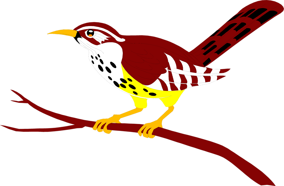 Free Stock Photos - Bird On The Branch Clipart (958x628)