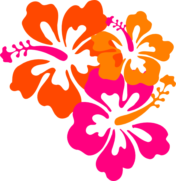 Pink And Orange Flowers Clip Art (582x598)