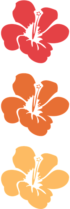 Hawaiian Flowers Clipart 22, - 3drose Dpp_54493_1 Orange Hibiscus Flower-hawaiian (360x720)