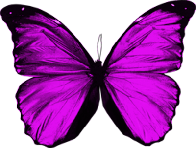 Purple Butterfly - Purple Butterfly Wings Png (400x303)