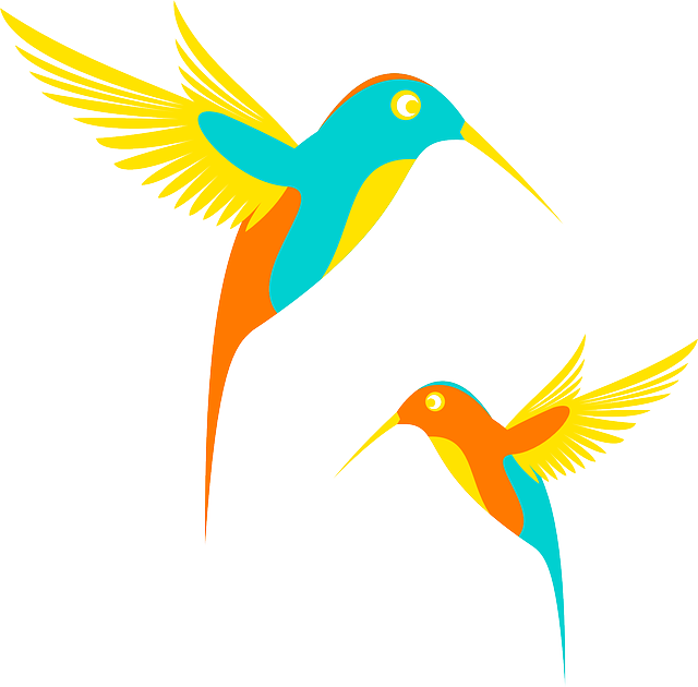 Hummingbird, Birds, Birdie, Anima, Exotic, Colorful - Colibri Logo Png (640x630)