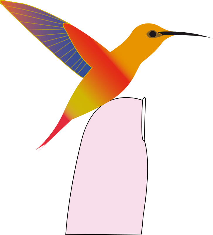 Free Hummingbird - Colorful Hummingbird King Duvet (727x800)