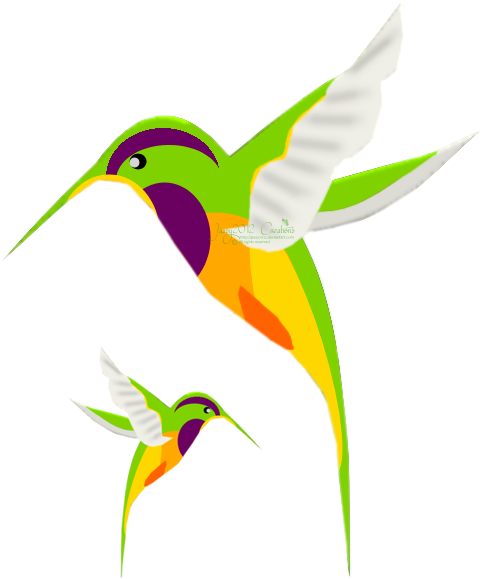 Two Painted Hummingbirds - Beija Flor Desenho Png (480x595)