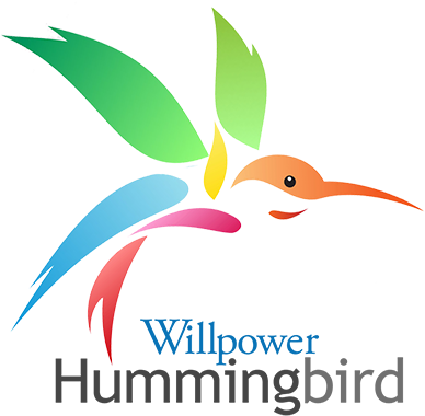 Willpower Hummingbird - Willpower Hummingbird (600x400)