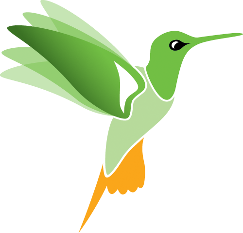 Safydesign - Ruby-throated Hummingbird (500x478)