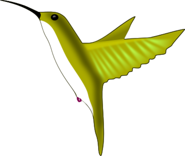 Large Green Hummingbird - Hummingbird (600x505)