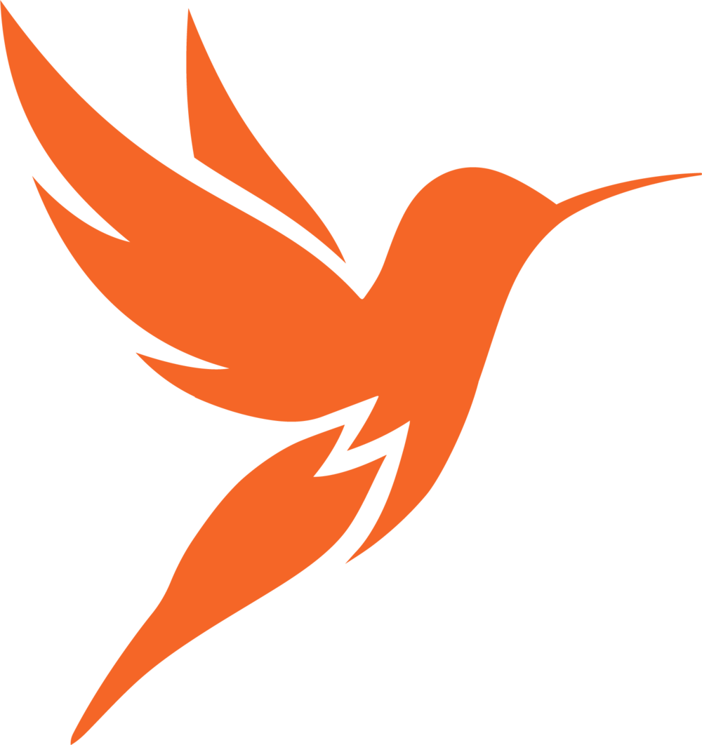 Our Values - Hummingbird (1000x1062)