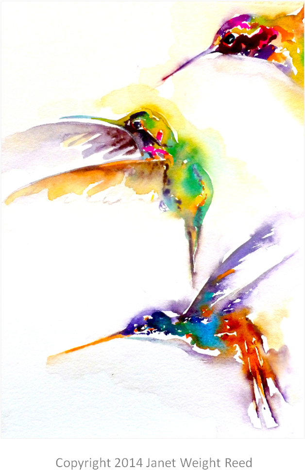 "three On A Mission" Hummingbird Print By Janet Weight - Creative Arts (1052x1052)