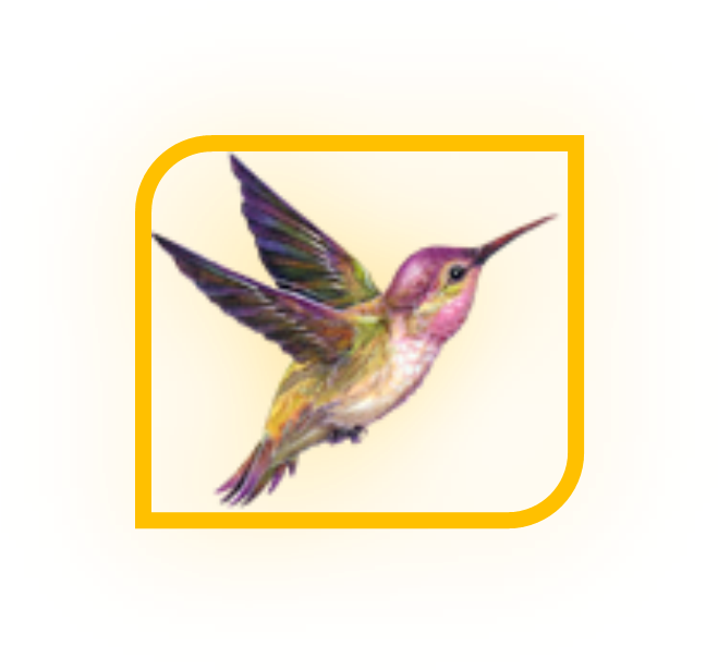 Студия Детского Творчества «колибри» - Beija Flor Png (726x675)
