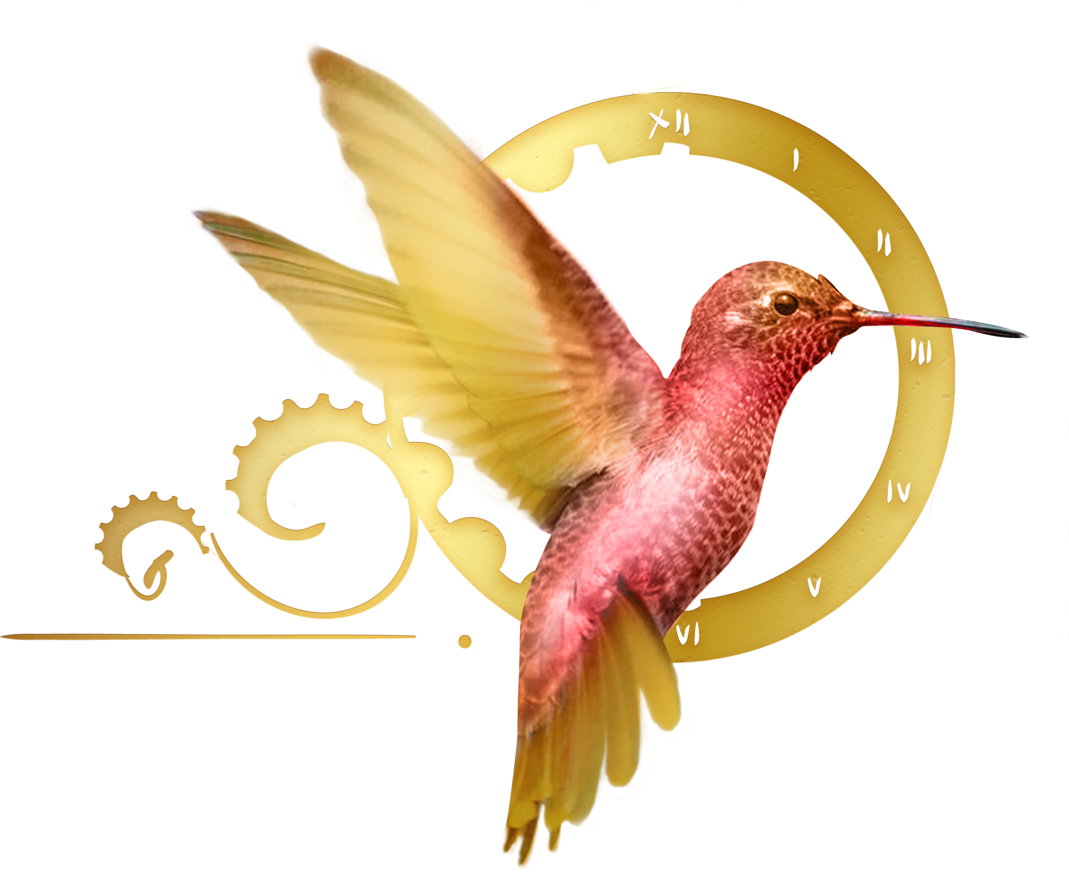 I've Been Enjoying The Summit Webinars These 5 Days - Rufous Hummingbird (2178x1776)