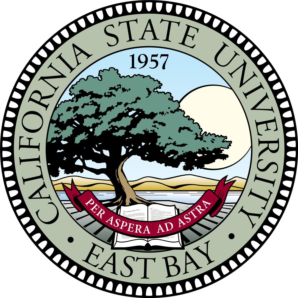 Tri C Csu Physician Assistant Program Admission Checklist - California State East Bay (1200x1200)