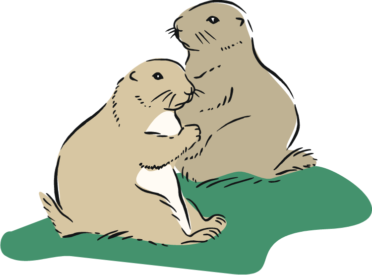 Prairie Dog Clip Art - Prairie Dog Home Clipart (750x554)