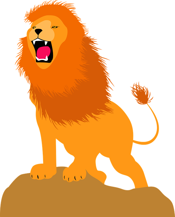Roaring Lion Cartoon - Animal León Png (581x720)