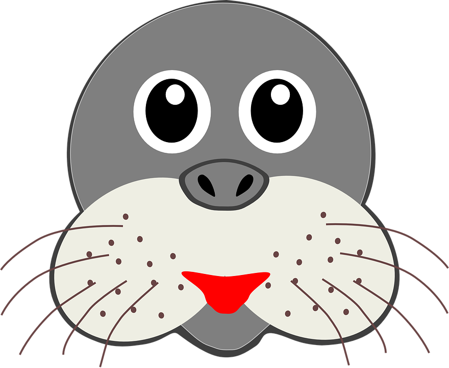 Seal Clip Art - Seal Face Clipart (880x720)