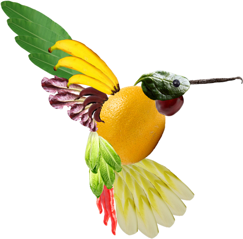 An Edible Hummingbird By Swelt2 - Coraciiformes (900x856)