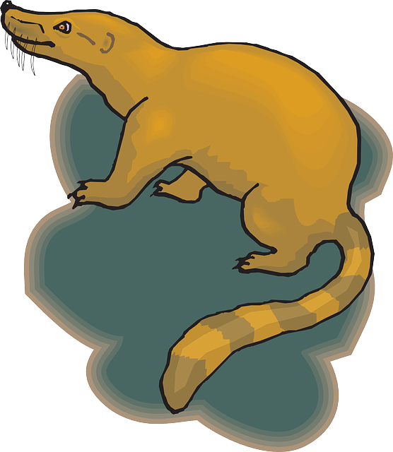 Cartoon, Shadow, Art, Animal, Tail - Animal (556x640)