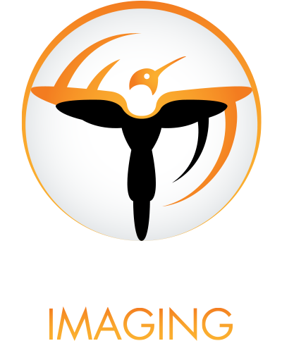 Orange Logo Hummingbird Imaging - Emblem (500x500)