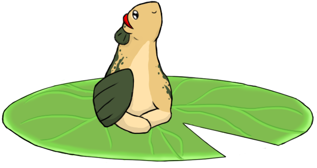 Delicata On A Lillypad - Drawing (658x374)