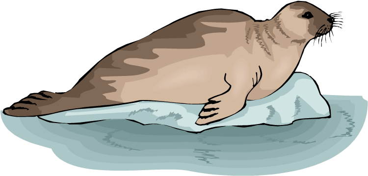 Sea Lion Clipart Water Animal - Free Clipart Of Seals (750x386)