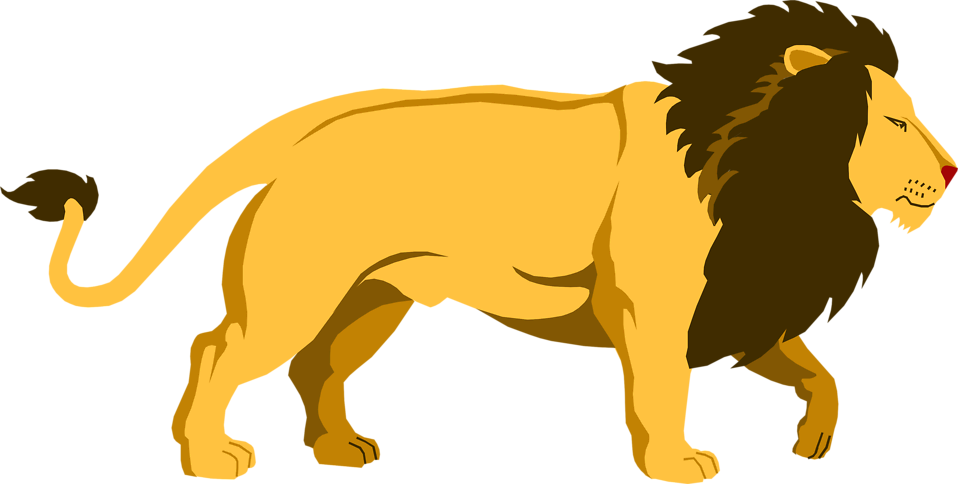 Lions - Transparent Background Lion Clipart Png (958x484)