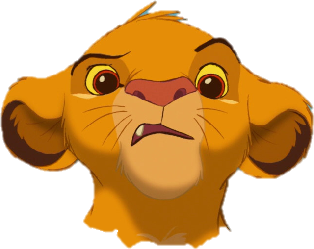 Lion King Png - Simba Png (666x534)