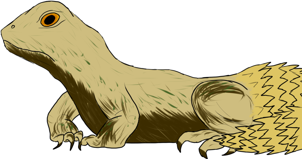 Uromastyx Leezurd By Dark-kisame - Komodo Dragon (1024x569)