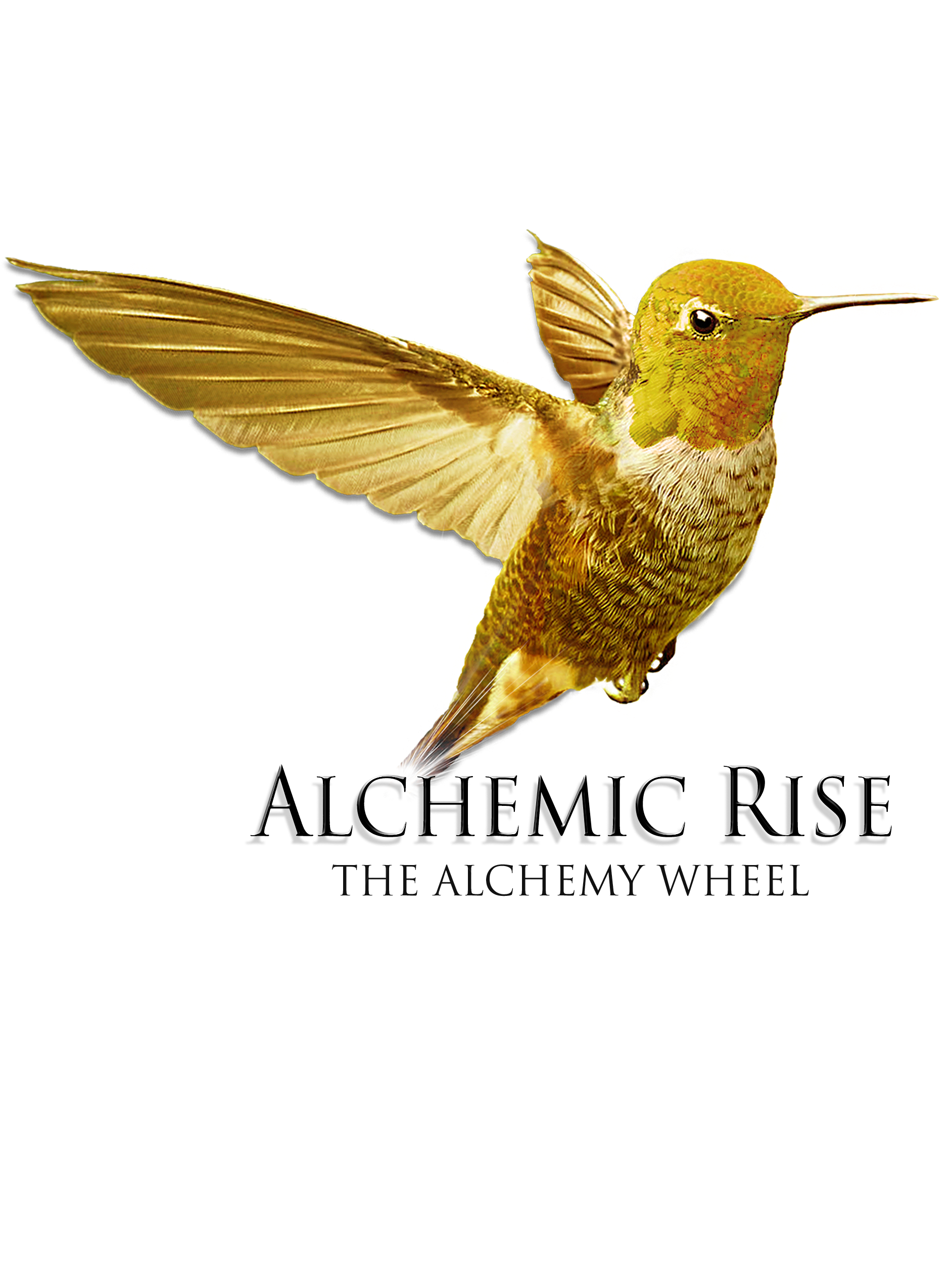 Greta Hough Energy Medicine United States - Rufous Hummingbird (2550x3300)