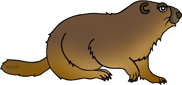 State Endemic Mammal - Cartoon (648x326)
