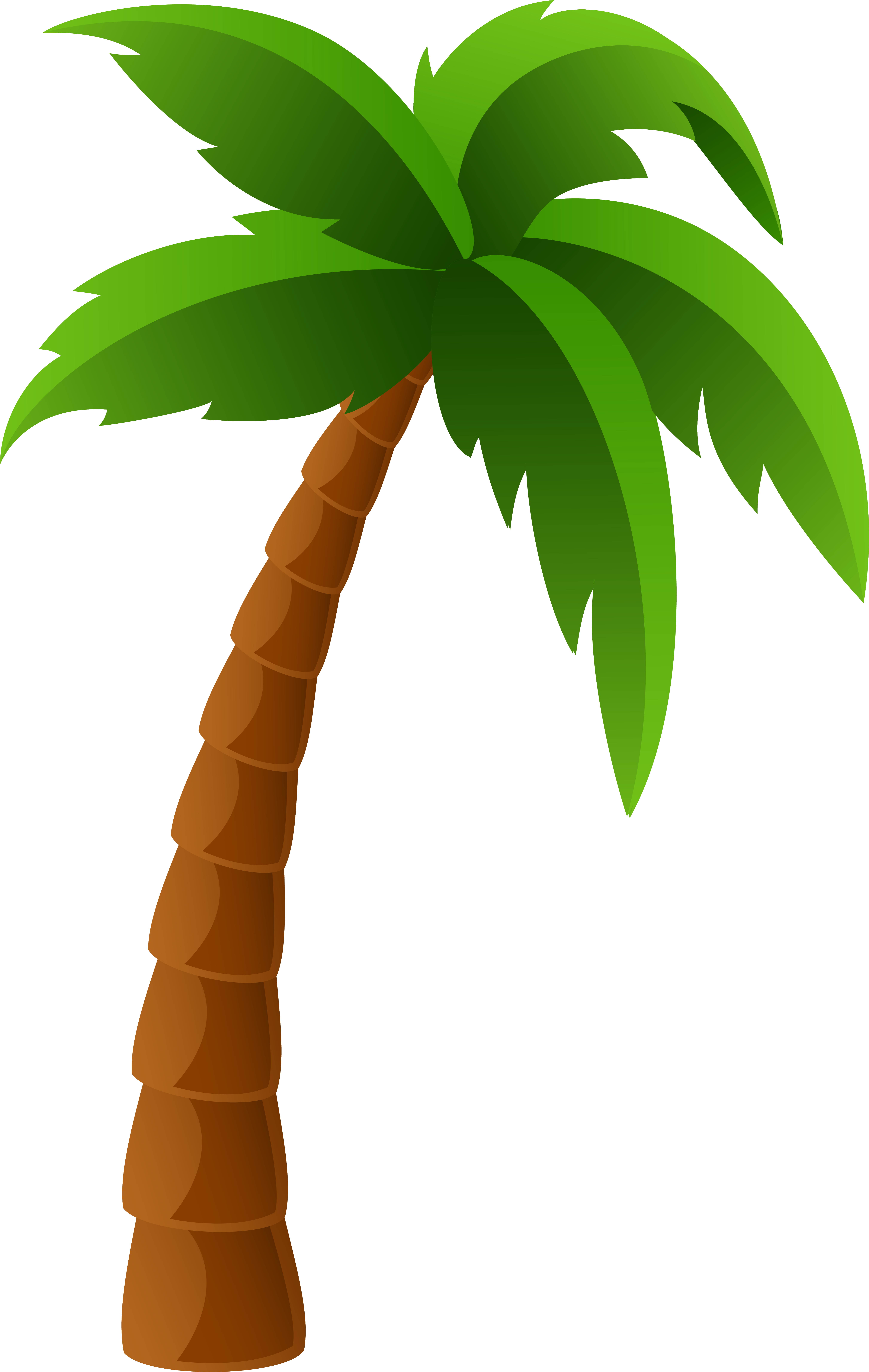 Palm Tree Clip Art - Palm Tree Clip Art (6139x9697)