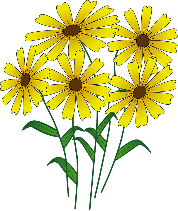 Fall Flowers Clipart - Flowers Clipart (607x720)