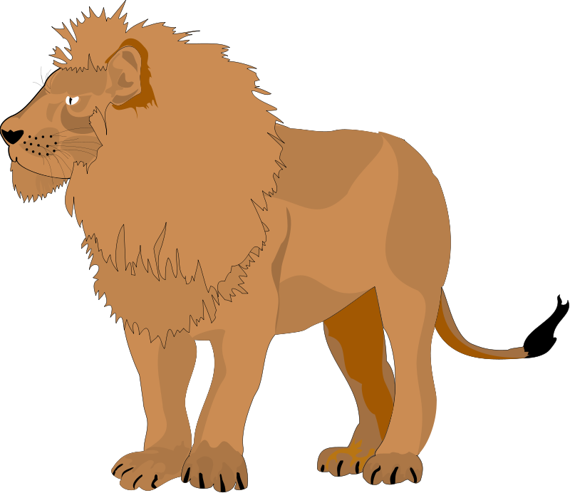 Lion 3 Free Vector - Lion Png (800x692)
