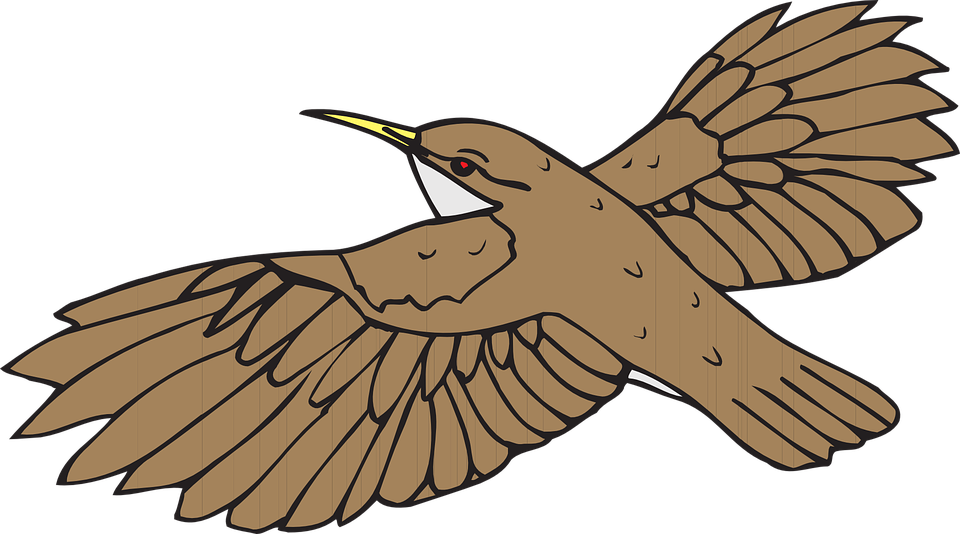 Humming Bird Clipart 16, - Bird Flying Clipart (960x534)
