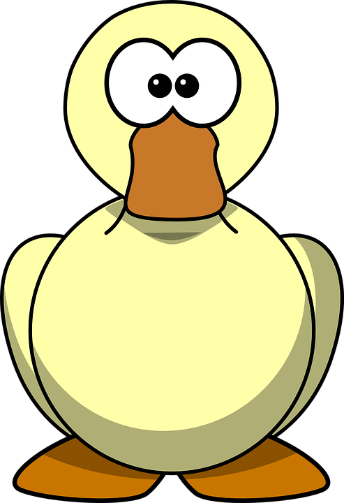 Big Bird Clipart 17, Buy Clip Art - Cartoon Duck Big Eyes (493x720)