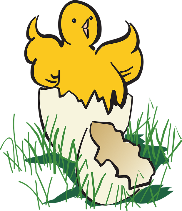 Baby Bird Clipart 23, - Hatch Clipart (619x720)