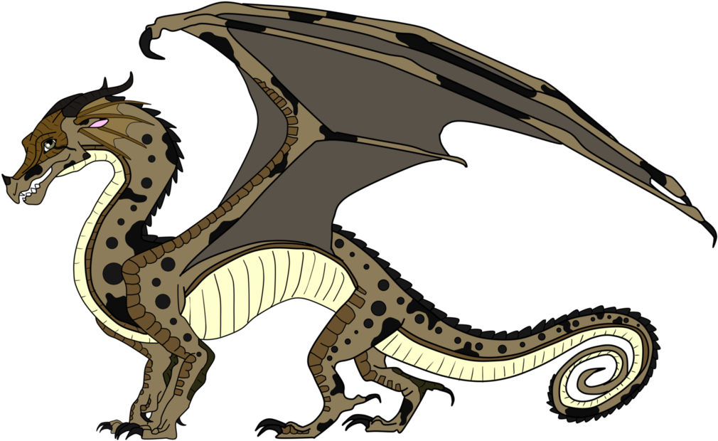 Rainwing Adoptable Dragon - Hybrids Wings Of Fire (1121x713)